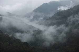 1779122535_5f6297a811fadfae088e