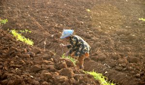 fofo-foto kekeringan di gunung kidul dan