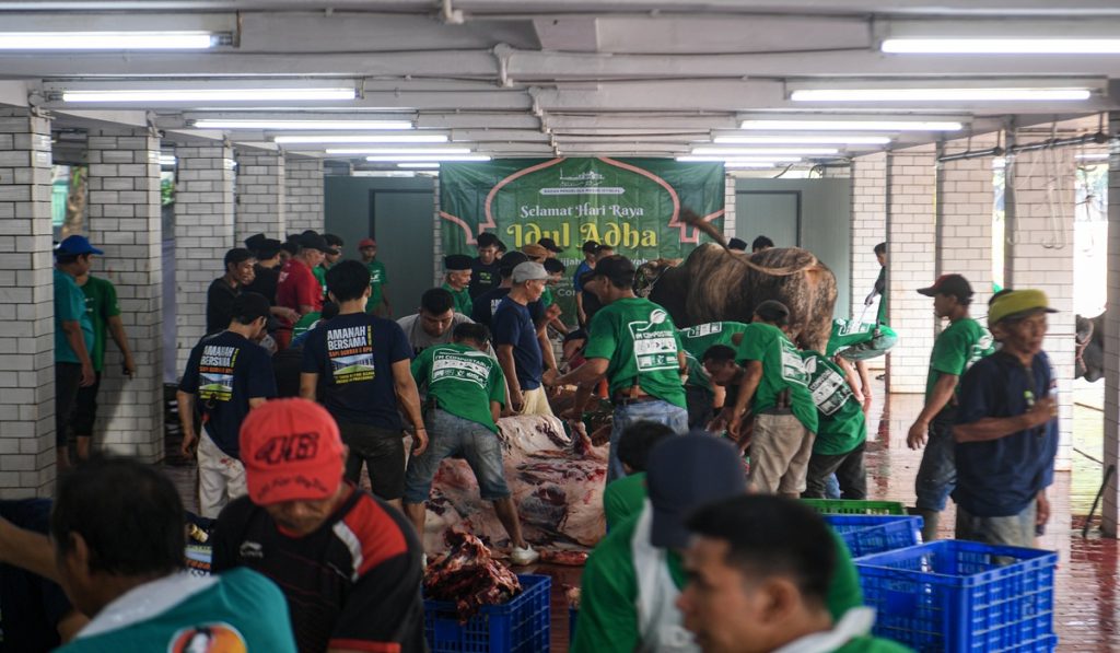 Petugas memotong daging hewan kurban untuk didistribusikan di Masjid Istiqlal, Jakarta, Sabtu (7/6/2025).