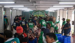 Petugas memotong daging hewan kurban untuk didistribusikan di Masjid Istiqlal, Jakarta, Sabtu (7/6/2025).