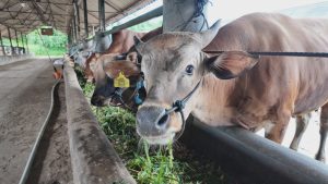 1779863970_06ac3faaea7d8a53c9c4