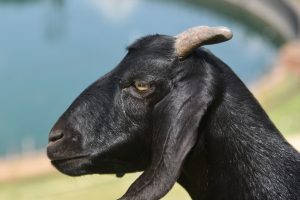 1779900254_061edcc479d15cbfb8c4