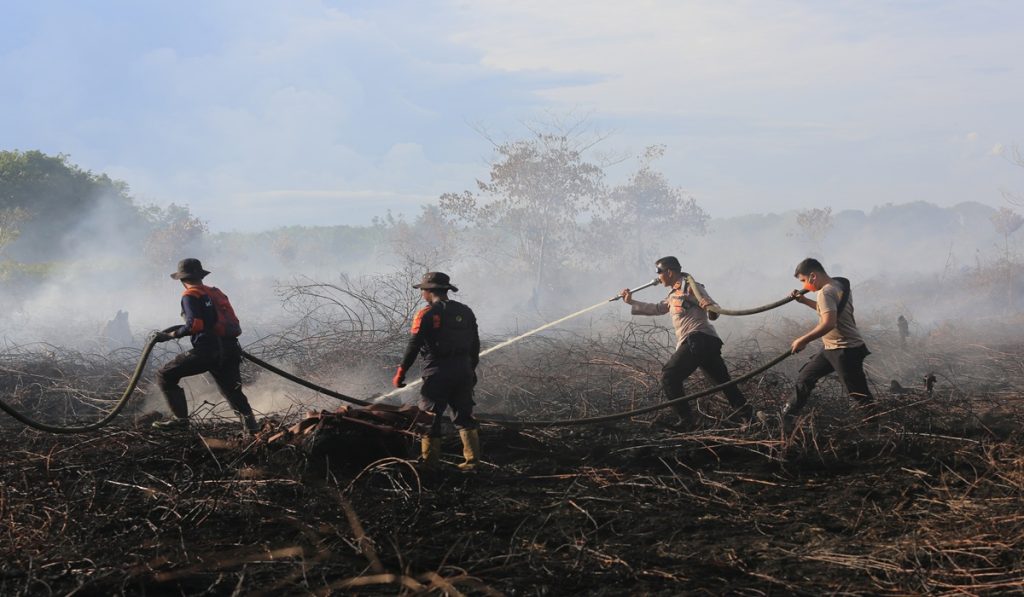 Sejumlah personel Kepolisian Polres Aceh Barat bersama petugas BPBD berusaha memadamkan kebakaran hutan dan lahan (karhutla) di kawasan lahan gambut Desa Cot Seumeureng, Samatiga, Aceh Barat, Aceh, Jumat (12/6/2026)