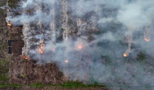 Foto udara kebakaran hutan dan lahan (karhutla) di kawasan lahan gambut Desa Kayee Unou, Kecamatan Darul Makmur, Nagan Raya, Aceh, Kamis (4/6/2026).
