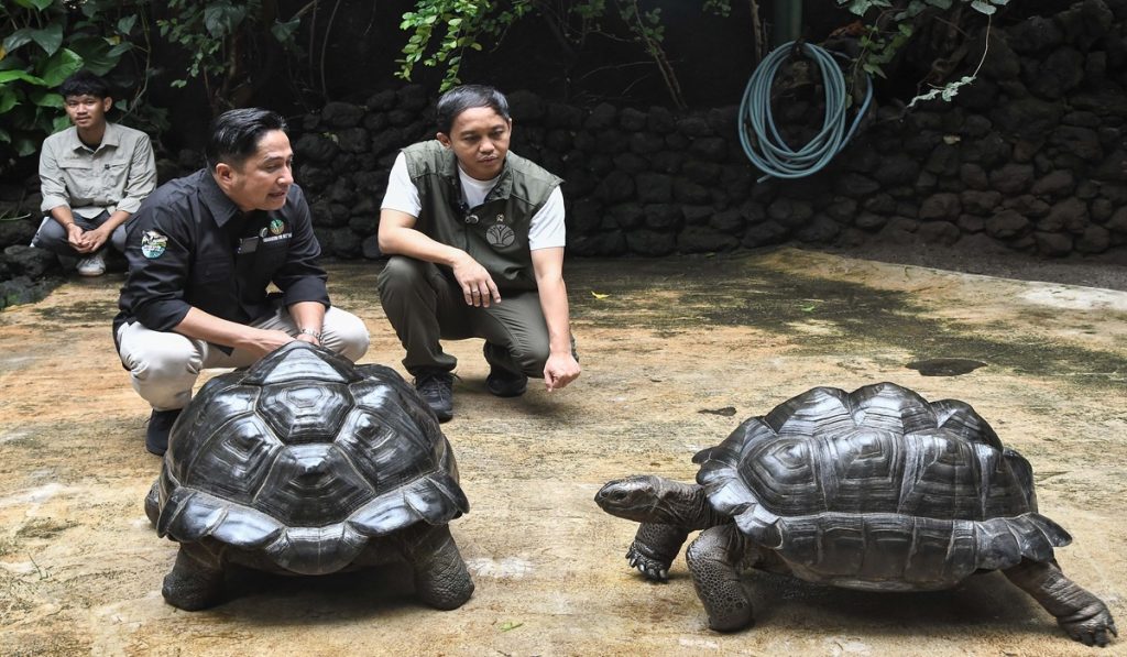 Menteri Kehutanan (Menhut) Raja Juli Antoni (kanan) didampingi  pemilik deHakims Aviary Irfan Hakim (kedua kiri) saat mengamati kura-kura aldabra di Pondok Gede, Bekasi, Jawa Barat, Minggu (2/2/2025).