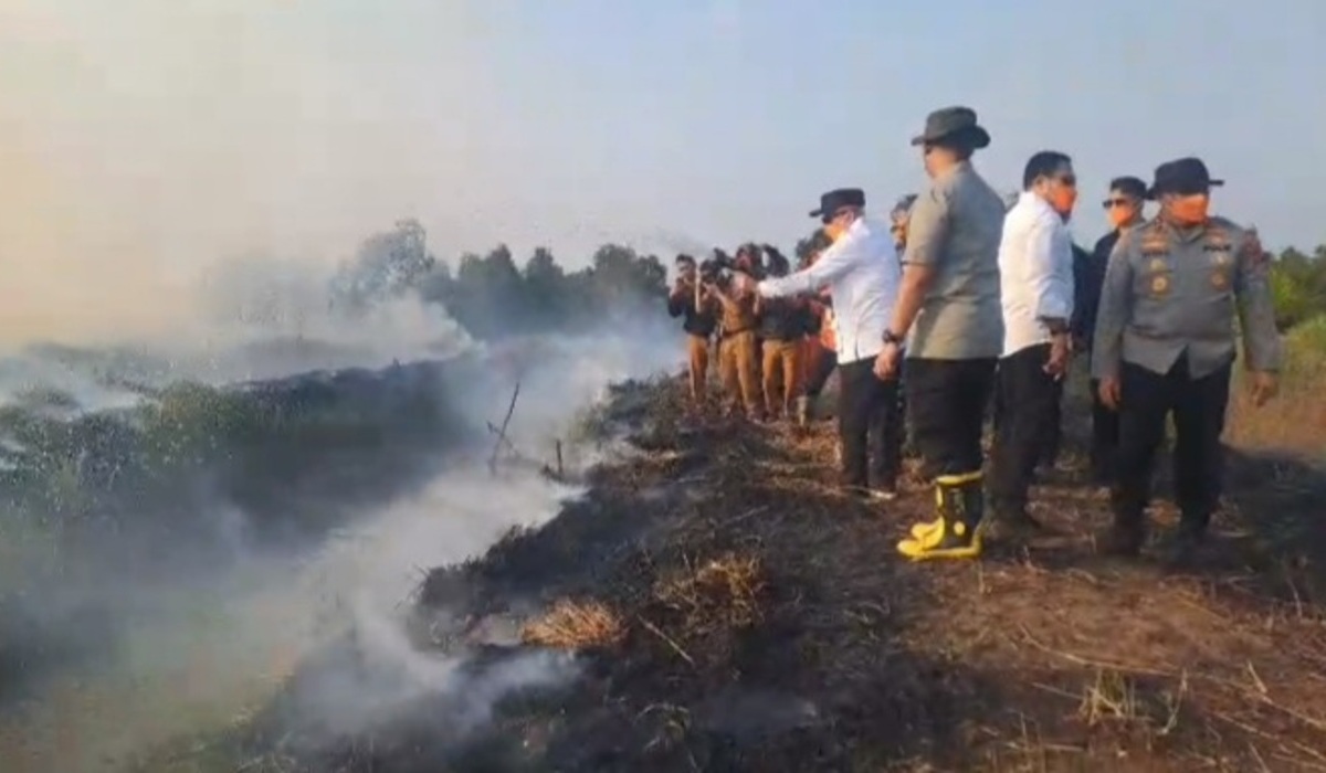Karhutla di Kalsel Menggila, 3.387 Hektare Hangus Terbakar