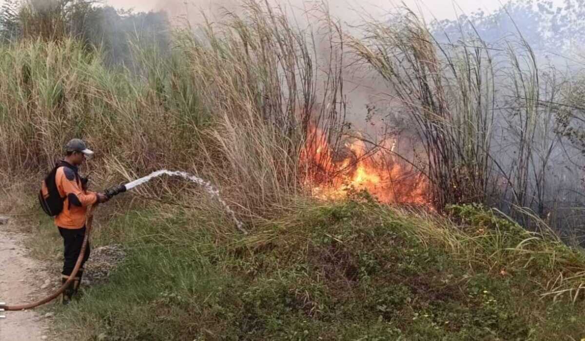 Karhutla Dominasi Kejadian Sepanjang Juli di Majalengka