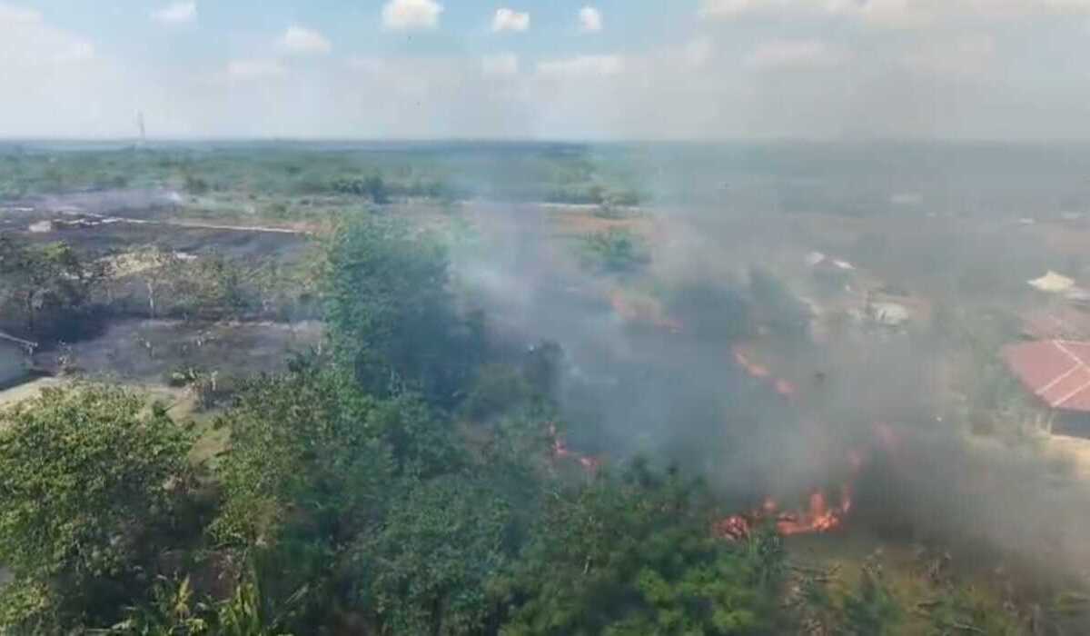 Karhutla di Sulawesi Selatan Meluas ke 4 Kabupaten, 33 Hektare Lahan Terbakar