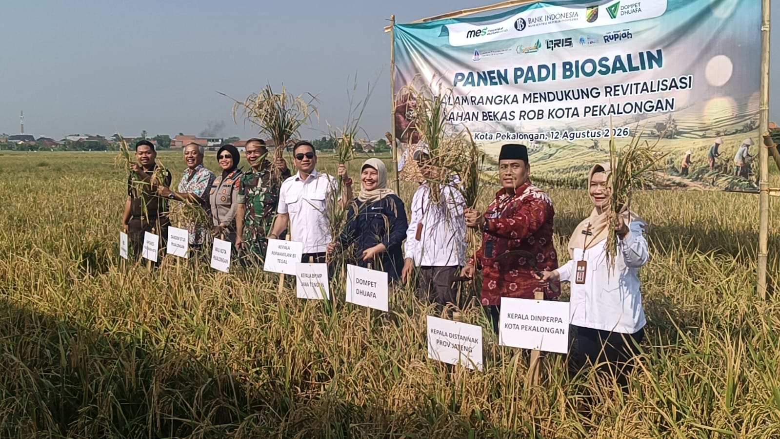 BI Tegal dan Pemkot Pekalongan Kembangkan Padi Biosalin di Lahan Bekas Rob