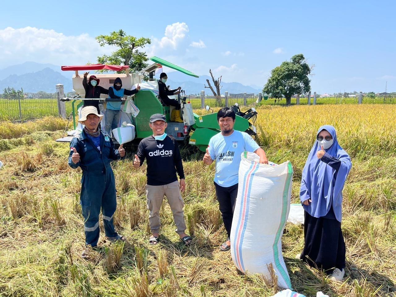Kemarau Ekstrem, Sulbar Upayakan Produksi Benih Padi Inbrida Bermutu