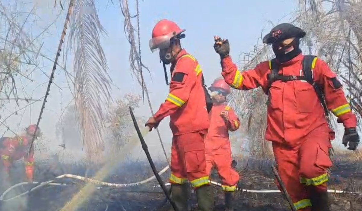 Kebakaran Lahan Gambut Muarojambi Meluas ke Desa Rondang Kumpeh
