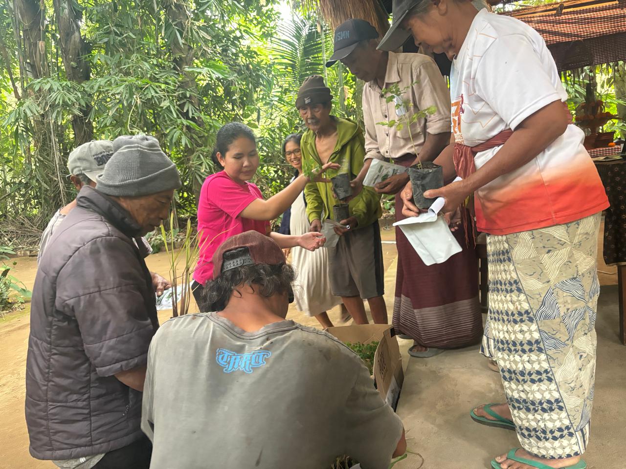 Pertanian Regeneratif Jadi Upaya Selamatkan Kunang-Kunang di Desa Taro