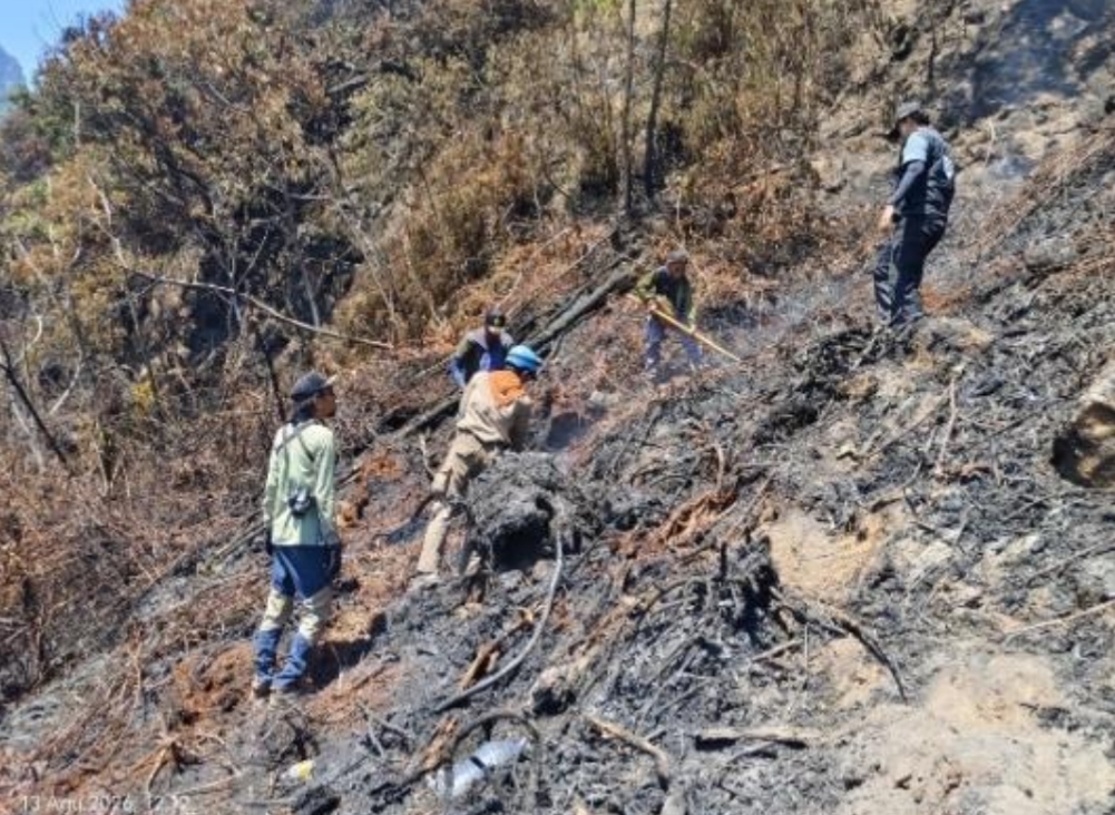Kondisi di Lokasi Kebakaran Vegetasi Kawah Wadon Gunung Gede masih Dinamis