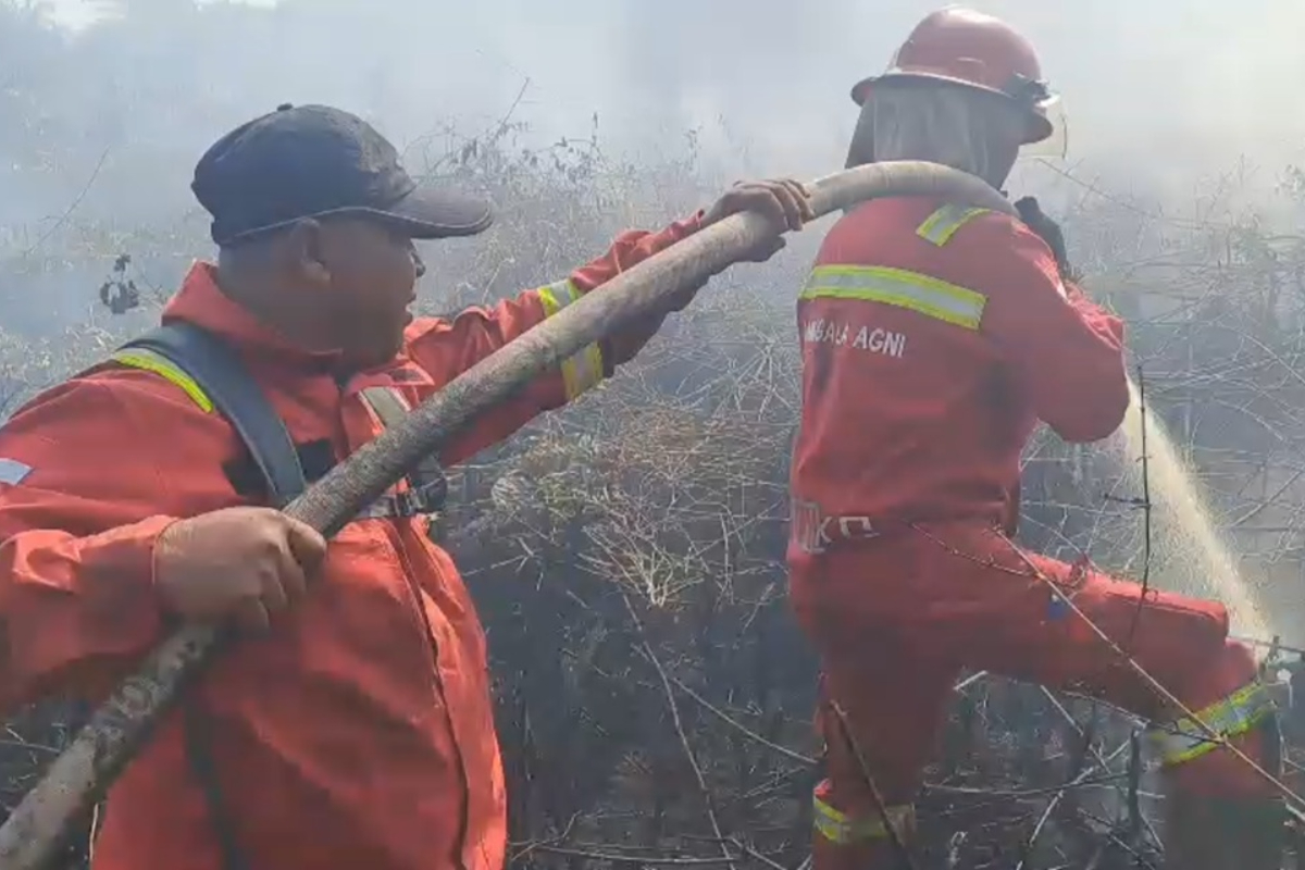 Terobos Jejak Beruang, Manggala Agni Berhasil Padamkan Karhutla di HLG Bram Itam Jambi