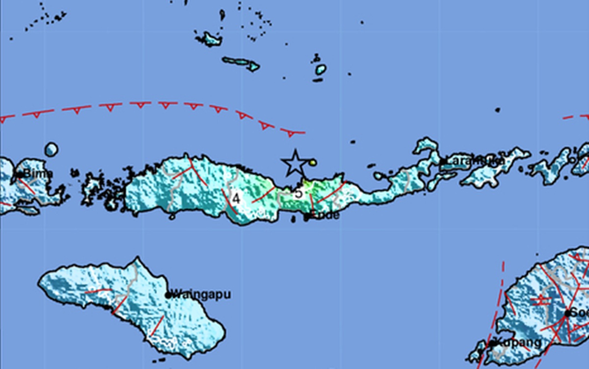 Tsunami Terdeteksi di Sejumlah Wilayah, Tertinggi 0,94 Meter di Maurole Ende