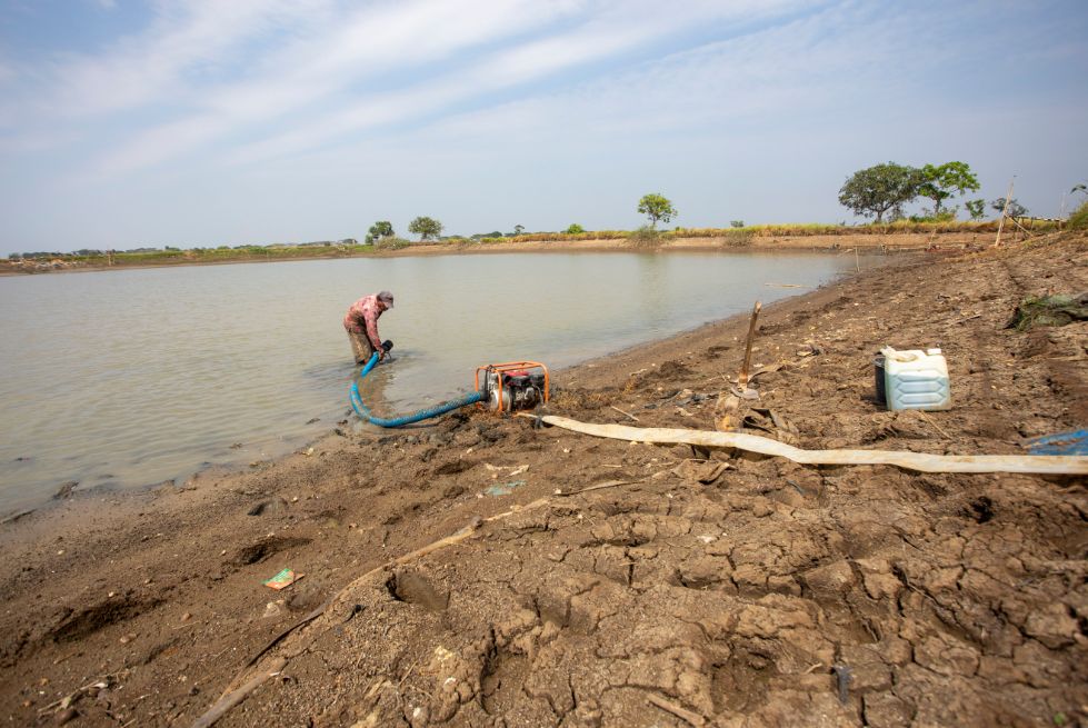 Cara Mitigasi Kekeringan El Nino dengan Memanen Air Hujan