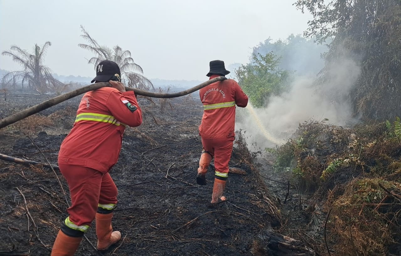 Karhutla Gambut di Empat Kabupaten Riau Masih Membara