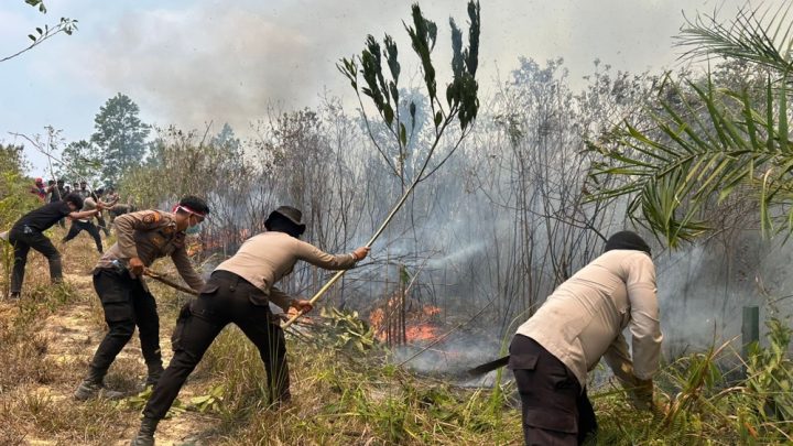 200 Hektare Lahan Tahura di IKN Terbakar