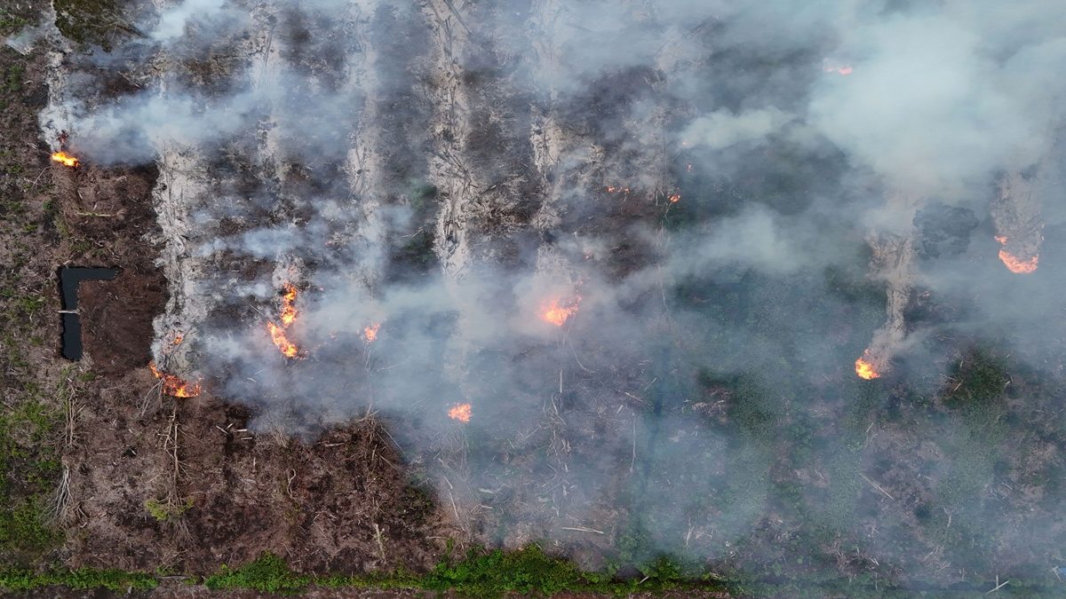 Foto udara kebakaran hutan dan lahan (karhutla) di kawasan lahan gambut Desa Kayee Unou, Kecamatan Darul Makmur, Nagan Raya, Aceh, Kamis (4/6/2026).