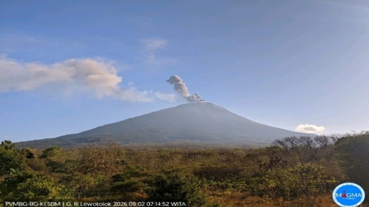 Gunung Ili Lewotolok Kembali Erupsi, Kolom Abu Membubung 600 Meter
