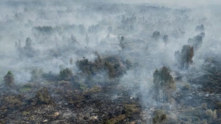 BNPB Maksimalkan OMC untuk Atasi Asap Karhutla di Kalbar