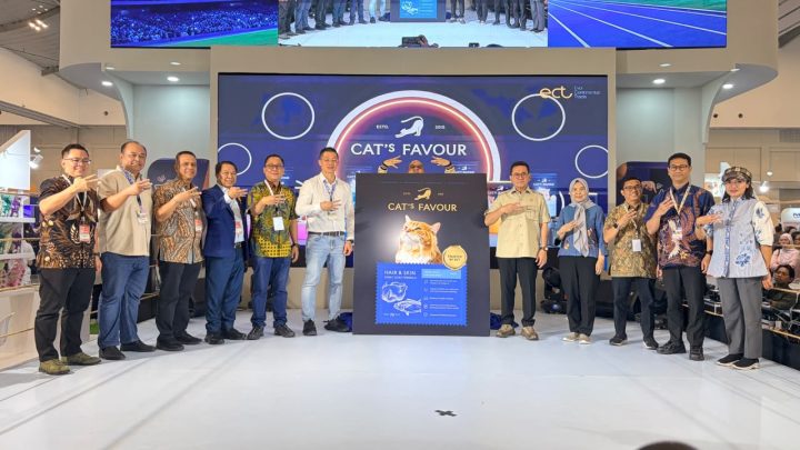 Pilihan makin Beragam, Produk Lokal Masuki Pasar Wet Food Kucing Premium