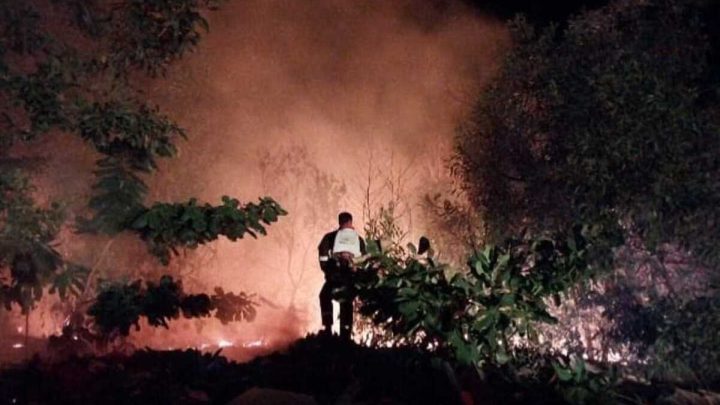 Update Karhutla 2026: 72.009 Hektare Lahan Gambut di 6 Provinsi Telah Hangus Terbakar